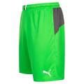 Мужские вратарские шорты PUMA King 701701-43, прев. 2