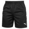 Чоловічі воротарські шорти PUMA Team Padded 710470-00, прев. 0