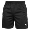 Чоловічі воротарські шорти PUMA Team Padded 710470-00, прев. 0