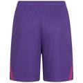 Мужские вратарские шорты PUMA 740209-03, прев. 1