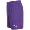 Мужские вратарские шорты PUMA 740209-03, прев. 2