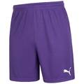 Мужские вратарские шорты PUMA 740209-03, прев. 0