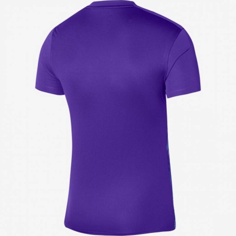 Футболка игровая Nike Dri-FIT Precision 6 DR0944-547, рис. 1