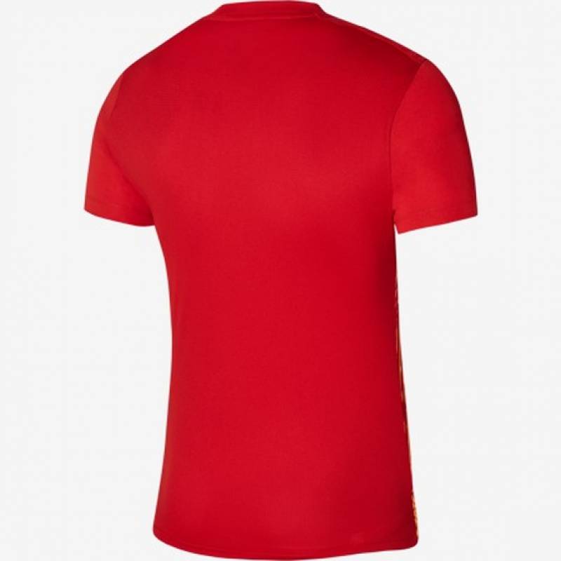 Футболка ігрова Nike Dri-FIT Precision 6 DR0944-657, рис. 1