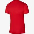 Футболка ігрова Nike Dri-FIT Precision 6 DR0944-657, прев. 1