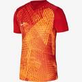 Футболка ігрова Nike Dri-FIT Precision 6 DR0944-657, прев. 0