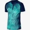 Футболка детская игровая Nike Dri-FIT Precision 6 Youth DR0950-410, прев. 0
