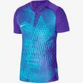 Футболка дитяча ігрова Nike Dri-FIT Precision 6 Youth DR0950-547, прев. 0