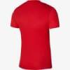 Футболка детская игровая Nike Dri-FIT Precision 6 Youth DR0950-657, прев. 1
