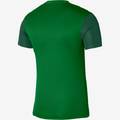 Футболка ігрова Nike DF TROPHY V JSY SS DR0933-302, прев. 1