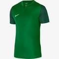 Футболка ігрова Nike DF TROPHY V JSY SS DR0933-302, прев. 0