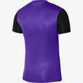 Футболка ігрова Nike DF TROPHY V JSY SS DR0933-547, прев. 1