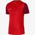 Футболка игровая Nike DF TROPHY V JSY SS DR0933-657, прев. 0