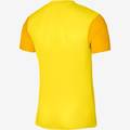 Футболка ігрова Nike DF TROPHY V JSY SS DR0933-719, прев. 1
