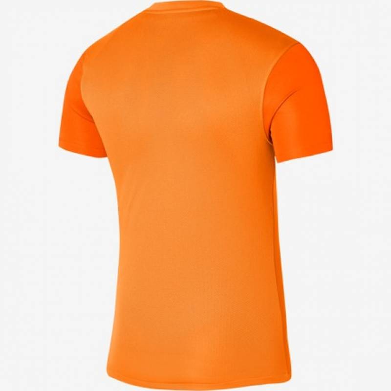 Футболка игровая Nike DF TROPHY V JSY SS DR0933-819, рис. 1
