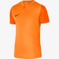 Футболка игровая Nike DF TROPHY V JSY SS DR0933-819, прев. 0