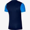 Футболка детская игровая Nike DF TROPHY V JSY SS Youth DR0942-410, прев. 1