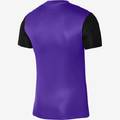 Футболка дитяча ігрова Nike DF TROPHY V JSY SS Youth DR0942-547, прев. 1
