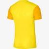 Футболка детская игровая Nike DF TROPHY V JSY SS Youth DR0942-719, прев. 1