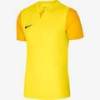 Футболка детская игровая Nike DF TROPHY V JSY SS Youth DR0942-719, прев. 0