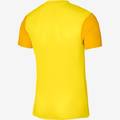 Футболка дитяча ігрова Nike DF TROPHY V JSY SS Youth DR0942-719, прев. 1