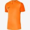 Футболка детская игровая Nike DF TROPHY V JSY SS Youth DR0942-819, прев. 0
