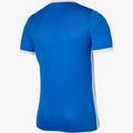 Футболка детская игровая Nike Dri-FIT Challenge IV Youth DH8352-463, прев. 1