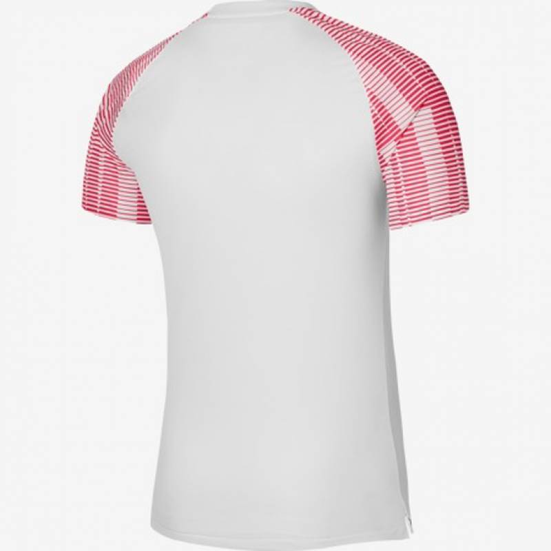 Футболка игровая Nike Dri-FIT Academy DH8031-100, рис. 1