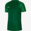 Футболка игровая Nike Dri-FIT Academy DH8031-302, прев. 0