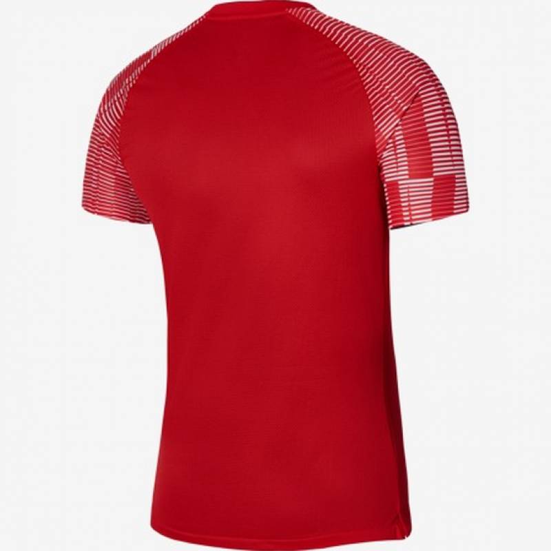 Футболка игровая Nike Dri-FIT Academy DH8031-657, рис. 1