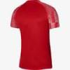 Футболка игровая Nike Dri-FIT Academy DH8031-657, прев. 1
