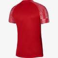 Футболка игровая Nike Dri-FIT Academy DH8031-657, прев. 1