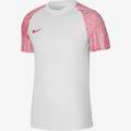 Футболка детская игровая Nike Dri-FIT Academy DH8369-100, прев. 0