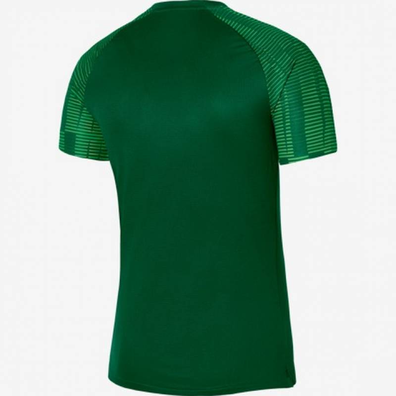 Футболка дитяча ігрова Nike Dri-FIT Academy DH8369-302, рис. 1
