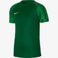 Футболка детская игровая Nike Dri-FIT Academy DH8369-302, прев. 0