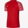 Футболка детская игровая Nike Dri-FIT Academy DH8369-657