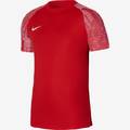 Футболка детская игровая Nike Dri-FIT Academy DH8369-657, прев. 0