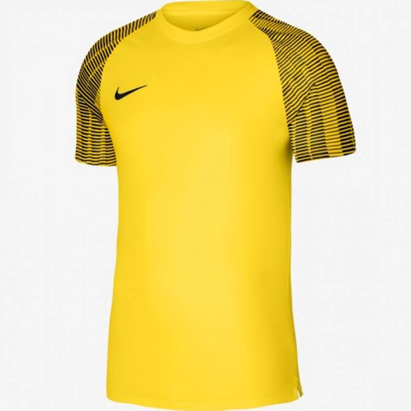 Футболка детская игровая Nike Dri-FIT Academy DH8369-719, рис. 0