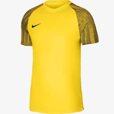 Футболка детская игровая Nike Dri-FIT Academy DH8369-719