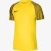 Футболка детская игровая Nike Dri-FIT Academy DH8369-719