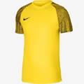Футболка детская игровая Nike Dri-FIT Academy DH8369-719