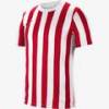 Футболка детская игровая Nike Striped Division CW3819-104, прев. 0