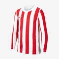 Дитяча футболка з довгими рукавами Nike Striped Division IV Jersey CW3825-104, прев. 0