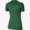 Жіноча футболка Nike DF STRP DVSN IV JSY SS  CW3816-302, прев. 1