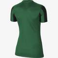 Жіноча футболка Nike DF STRP DVSN IV JSY SS  CW3816-302, прев. 1
