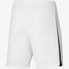 Шорти Nike NK DF LGE KNIT III SHORT K DR0960-100, прев. 1