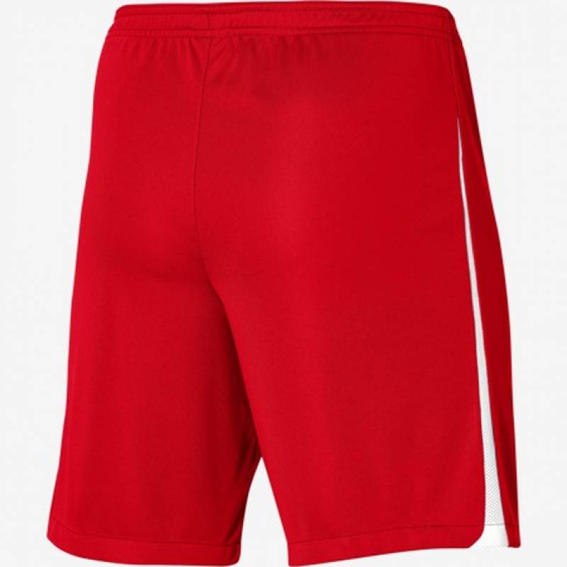 Шорти Nike NK DF LGE KNIT III SHORT K DR0960-657, рис. 1