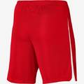 Шорты Nike M NK DF LGE KNIT III SHORT K DR0960-657, прев. 1