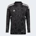 Воротарська футболка Adidas Condivo 22 Long Sleeve HB1643, прев. 0