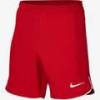Дитячі шорти Nike Laser V DH8408-657, прев. 0